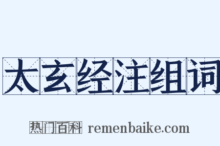太玄经注组词是什么意思的图片